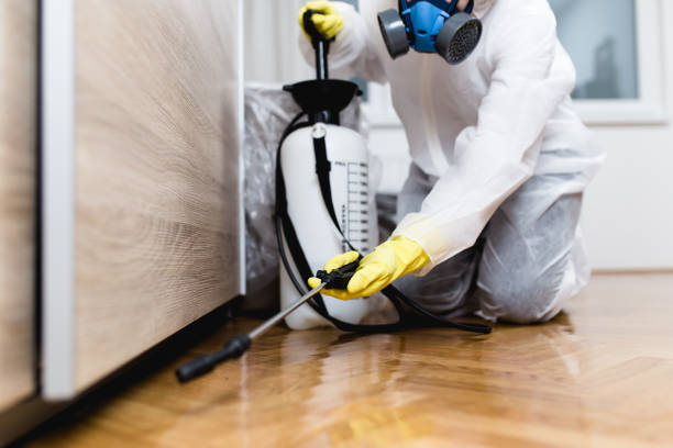 Best Pest Inspection Near Me  in Mccamey, TX