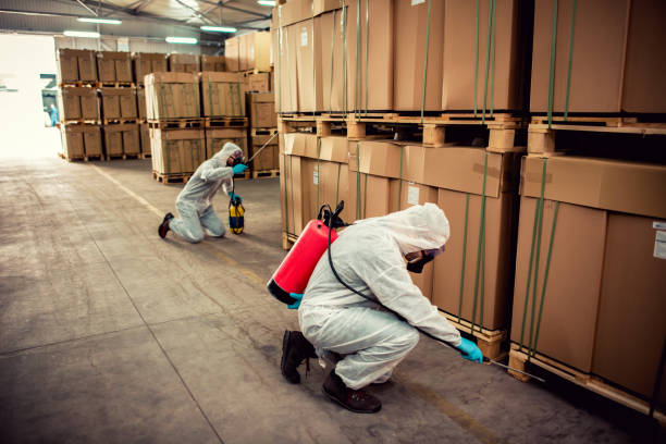 Best Cockroach Control Services  in Mccamey, TX