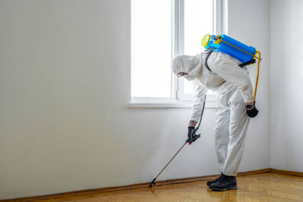 Best Pest Control Near Me  in Mccamey, TX