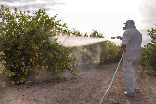Best Emergency Pest Control  in Mccamey, TX