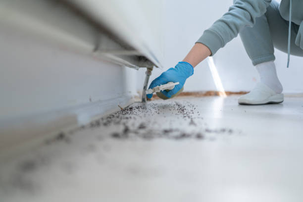 Best Cockroach Control Services  in Mccamey, TX